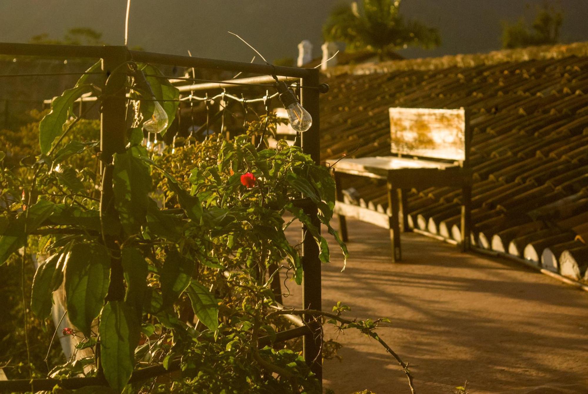 Tzunun Hostel Antigua Екстериор снимка
